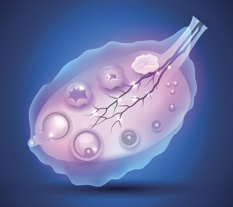 广医正规助孕公司做试管婴儿费用表多少钱？5万够吗？